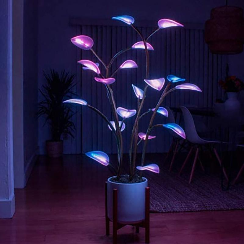 house plant uplighters Magic Plant Light – Magi Plant Premium Products