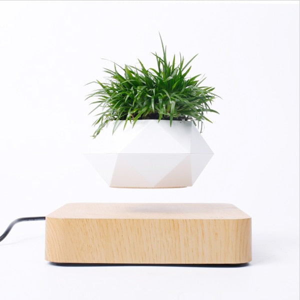 Levitating Air Planter