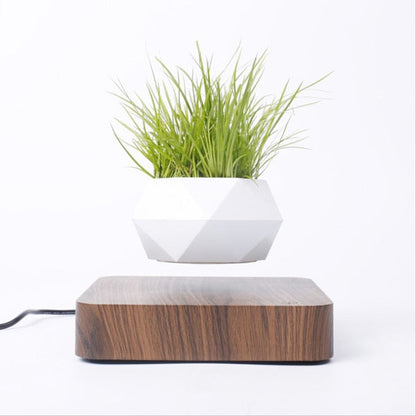 Levitating Air Planter