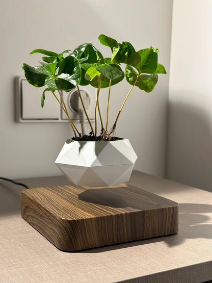 Levitating Air Planter