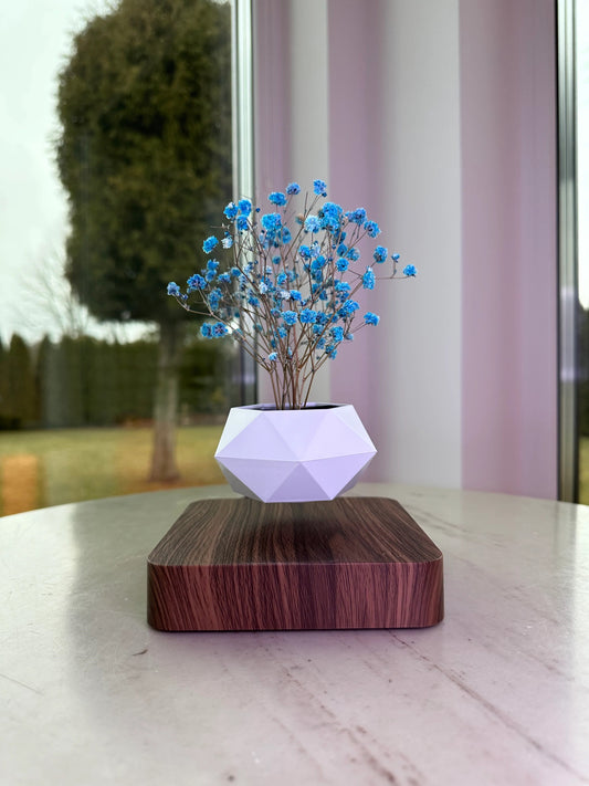 Levitating Air Planter