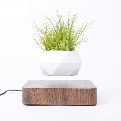 Levitating Air Planter